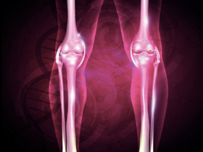 Hubungan Antara Kenyamanan Fisik dan Fokus Kerja yang Maksimal